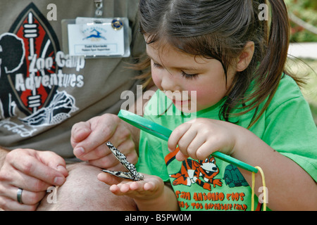 Kronkosky s kleine Tot Natur vor Ort San Antonio Zoo TX Stockfoto