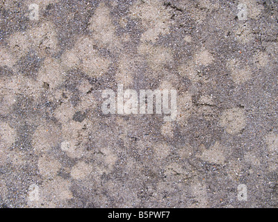 Grobe Betonmauer Stockfoto