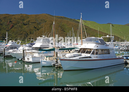 Marina Havelock Marlborough Südinsel Neuseeland Stockfoto