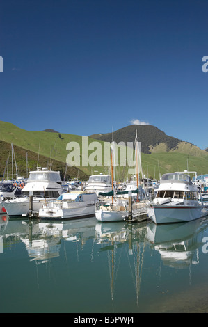 Marina Havelock Marlborough Südinsel Neuseeland Stockfoto