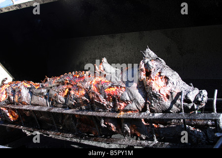 Abendessen A gekocht ganz gebratenes Schwein am Spieß noch auf dem Feuer Grube grill Stockfoto