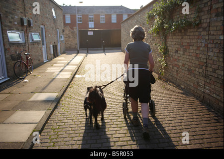 Tochter, schob Mutter im Rollstuhl in Abendsonne auf Weg mit 2 Hunden Cambridge UK Stockfoto