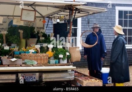 Zwei Produkte-Anbieter stehen im Regen auf einem Bauernmarkt auf Martha's Vineyard in Massachusetts. Stockfoto