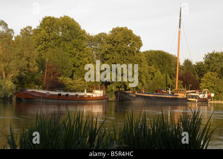 Flussboote auf dem Fluss Themse Old Windsor Stockfoto