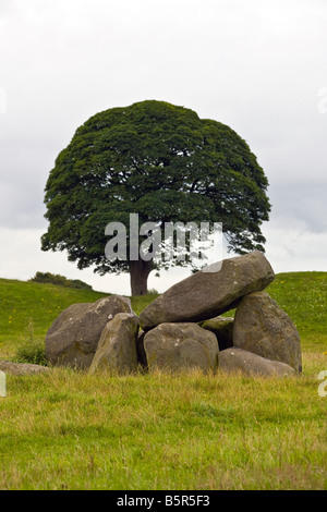 Dolmen grave, Riesen Ring, Lagan Valley, Belfast, Nordirland Stockfoto