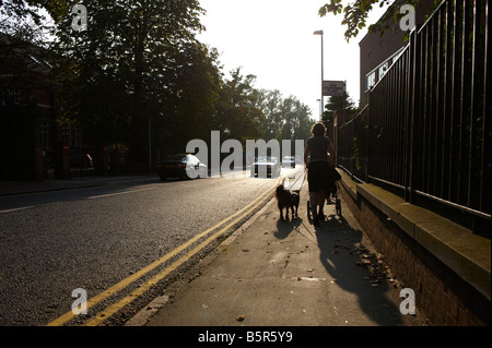 Tochter, schob Mutter im Rollstuhl in Abendsonne auf Weg mit 2 Hunden Cambridge UK Stockfoto