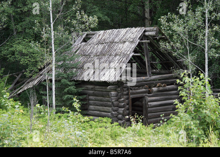 Alten Blockhütte im Wald Stockfoto