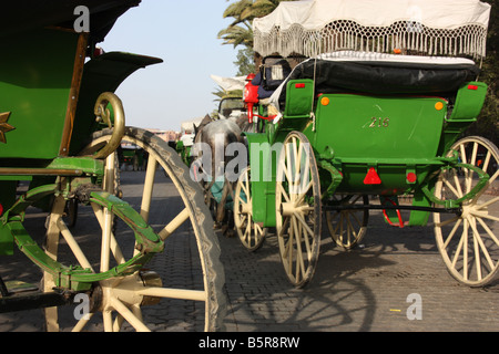 Pferde gezeichnete Wagen nahe City wall in Marrakesch, Marokko Stockfoto