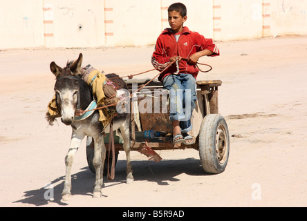Eselskarren und Fahrer in verlassenen Straßen von Dakhla Westsahara Stockfoto