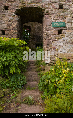 Halten Sie c1170 Usk Schloss in der Marktstadt Usk Monmouthshire South Wales UK Stockfoto