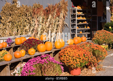 Herbsternte New England Farm stehen in West Newbury, Massachusetts Stockfoto