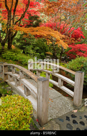 Japanischer Garten Prozessabschnitt Butchart Gardens im Herbst Victoria British Columbia Kanada Stockfoto