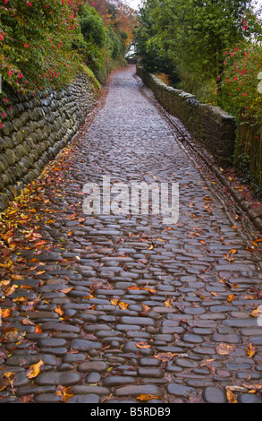 Gepflasterten Fußweg hinunter die Küstenstadt Dorf von Clovelly North Devon England UK Stockfoto