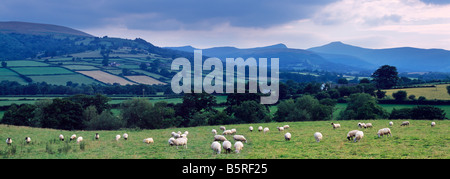 Die Black Mountains im Bannau Brycheiniog (Brecon Beacons) National Park aus Pencelli, Powys, Südwales Stockfoto