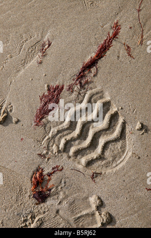 Fußabdruck im Sand Stockfoto