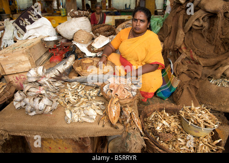 Innenraum des Grand Bazaar Fischmarkt in Pondicherry, Indien. Stockfoto