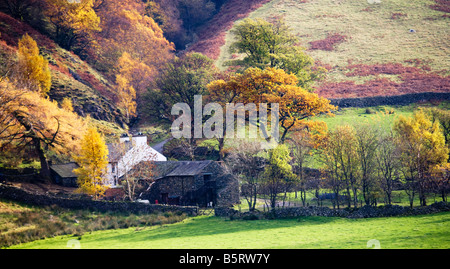 Bauernhaus eingebettet am unteren Hang im Herbst in den Lake District National Park, Cumbria, England, UK Stockfoto