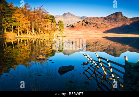 Am frühen Morgen Sonnenschein und Reflexionen in Blea Tarn an einem sonnigen Herbsttag, Nationalpark Lake District, Cumbria, England, UK Stockfoto