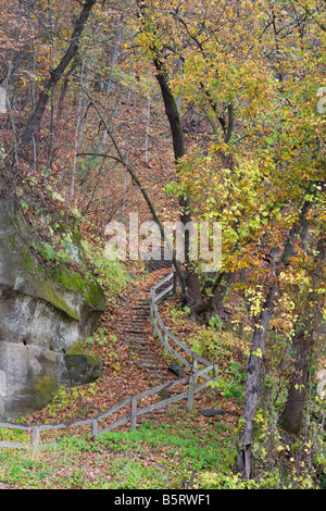 Trail entlang Sandstein mit herbstlichen Bäume, Ledges Staatspark, Iowa Stockfoto