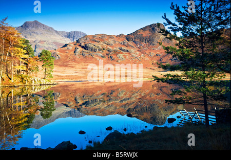 Am frühen Morgen Sonnenschein und Reflexionen in Blea Tarn an einem sonnigen Herbsttag, Nationalpark Lake District, Cumbria, England, UK Stockfoto