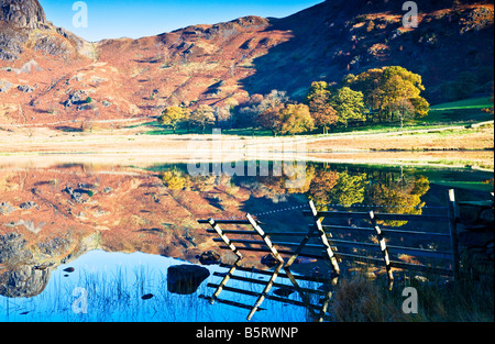 Am frühen Morgen Sonnenschein und Reflexionen in Blea Tarn an einem sonnigen Herbsttag, Nationalpark Lake District, Cumbria, England, UK Stockfoto