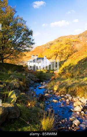 Weiß getünchten Häuschen Bauernhaus im Lake District National Park, Cumbria, England, UK mit Strom oder Beck neben im Herbst. Stockfoto