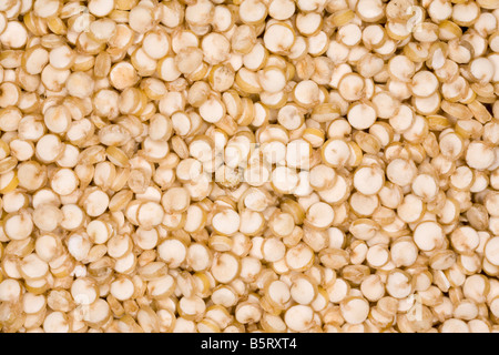 Bio Quinoa Chenopodium Quinoa Getreide nahrhaftes Essen Getreide aus Ecuador Stockfoto