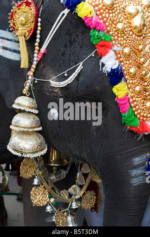 Junge indische Elefant, Sathya Geetha verkleidet für ein religiöses Fest in Puttaparthi, Andhra Pradesh, Indien Stockfoto