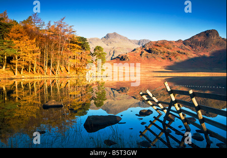 Am frühen Morgen Sonnenschein und Reflexionen in Blea Tarn an einem sonnigen Herbsttag, Nationalpark Lake District, Cumbria, England, UK Stockfoto