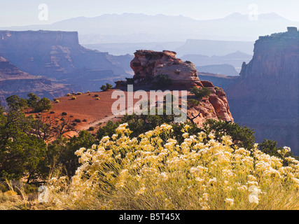 Shafer Canyon Overlook in den Canyonlands National Park Stockfoto