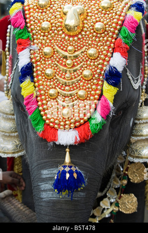 Junge indische Elefant, Sathya Geetha verkleidet für ein religiöses Fest in Puttaparthi, Andhra Pradesh, Indien Stockfoto