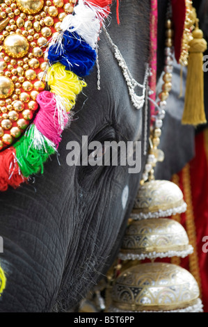 Junge indische Elefant, Sathya Geetha verkleidet für ein religiöses Fest in Puttaparthi, Andhra Pradesh, Indien Stockfoto