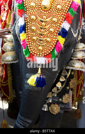 Junge indische Elefant, Sathya Geetha verkleidet für ein religiöses Fest in Puttaparthi, Andhra Pradesh, Indien Stockfoto