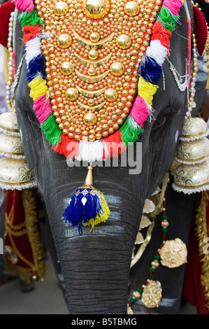 Junge indische Elefant, Sathya Geetha verkleidet für ein religiöses Fest in Puttaparthi, Andhra Pradesh, Indien Stockfoto