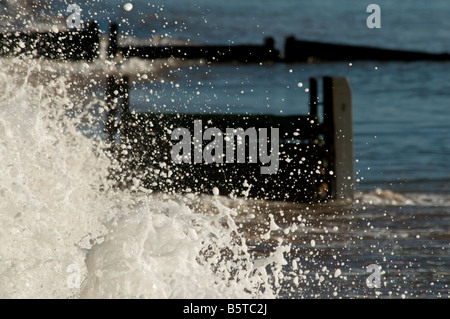 Die Buhne Küstenschutzes in Dawlish Stockfoto