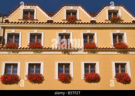 Blumen am Fenster des staatlichen Gebäudes Stockfoto