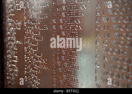 Namen von Soldaten und Frauen, die im Krieg verloren wurden, eingeschrieben auf dem Kriegsdenkmal in Brighton UK Stockfoto