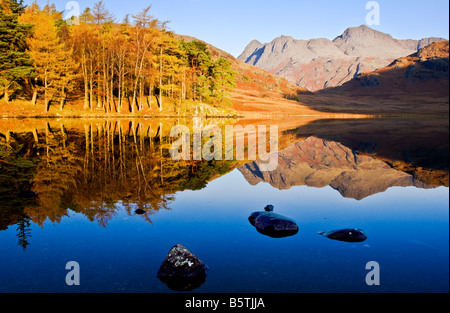 Am frühen Morgen Sonnenschein und Reflexionen in Blea Tarn an einem sonnigen Herbsttag, Nationalpark Lake District, Cumbria, England, UK Stockfoto