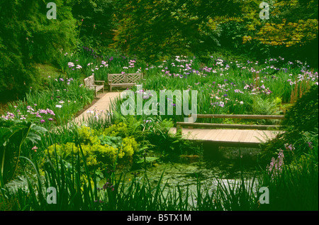 Iris Dell, Wakehurst Place, Ardingly, West Sussex, UK Stockfoto