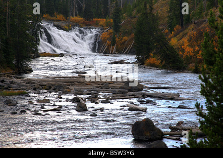 Lewis fällt im Herbst, Yellowstone-Nationalpark, Wyoming Stockfoto