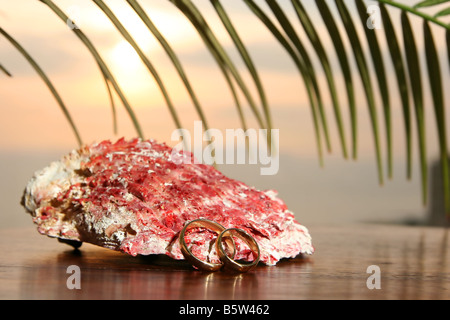 Trauringe vor einer Schale unter Palmen und Sonnenuntergang Stockfoto