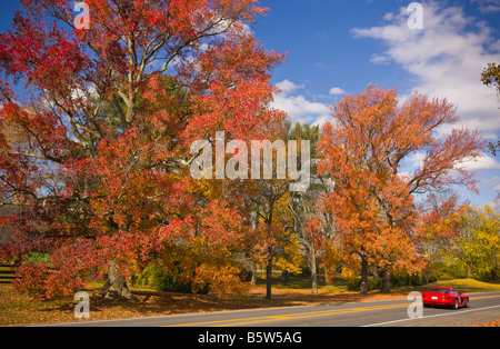 LOUDOUN COUNTY VIRGINIA USA bunte Herbstlaub an Bäumen entlang Weg 15 Stockfoto