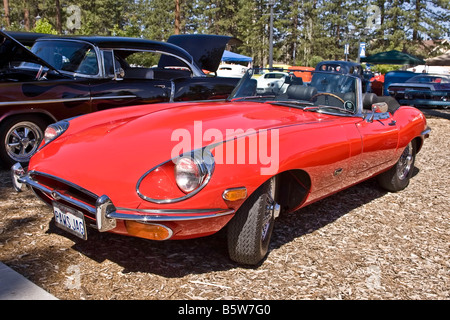 Rot E-Type Jaguar Cabrio coupe Stockfoto