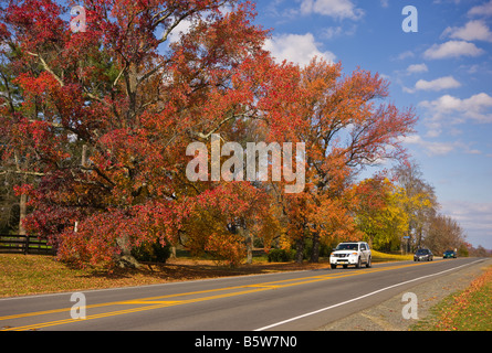 LOUDOUN COUNTY VIRGINIA USA bunte Herbstlaub an Bäumen entlang Weg 15 Stockfoto