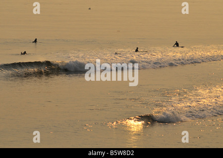 Fangen Sie die Golden Wave - Surfer warten und Wellen in den Gewässern von Topanga State Beach, Kalifornien Stockfoto