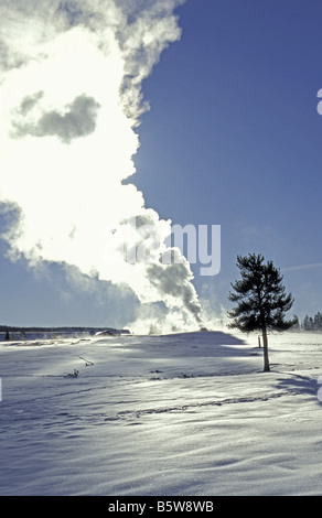 Yellowstone-Nationalpark - Old Faithful Geysir Stockfoto