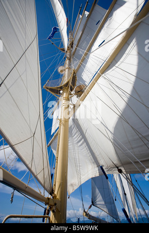 Segel an Bord der Star Flyer ein Clipper-Segelschiff Stockfoto