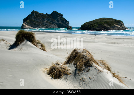 Am Wharariki Beach, in der Nähe von Cape Farewell, Südinsel, Neuseeland Stockfoto