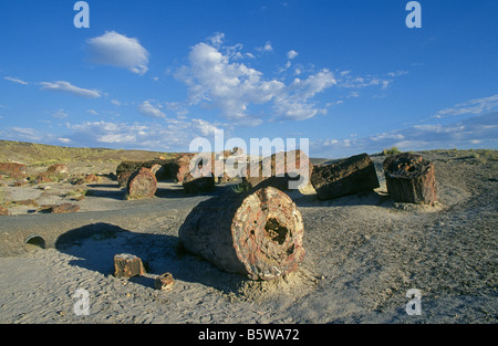 Riesige versteinerte Protokolle Wurf die Landschaft im Painted Desert, Petrified Forest National Park, Arizona. Stockfoto