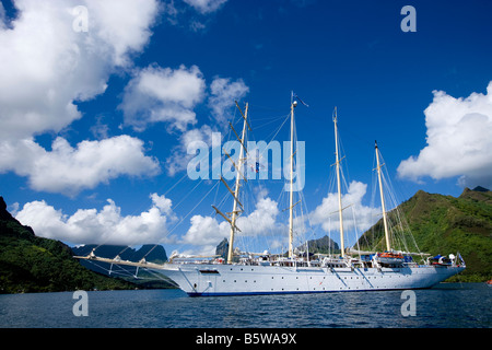 Segelschiff, Star Flyer, vor Anker Stockfoto